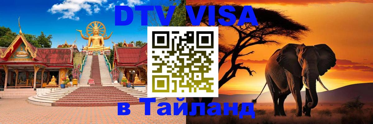 Оформление DTV визы под ключ: стоимость и тарифы, только загранпаспорт - 